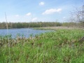 Jerdon Listing D3581 W. Saddlebag & Finch Lakefront Acreage