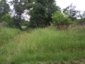 Jerdon Listing E3848 Diamond Lake Channel Front Lot