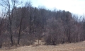 Jerdon Listing F3681 40 Acres Marcellus, MI