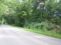 Jerdon Listing F3768 Corey Lake Access Lots