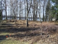 Jerdon Listing G3669 Eagle Lakefront Lot