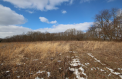 Jerdon Listing H4071 16 and 1/4 Acres, Southeast of Dowagiac