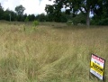 Jerdon Listing L3605 3 Acres Vacant Land
