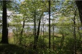 Jerdon Listing M3930 Big Smith Lakefront 203 Acres